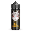 Red Ragdoll Red Ragdoll