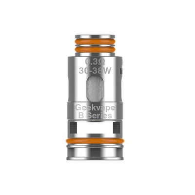 B 0.3Ω Mesh Coil